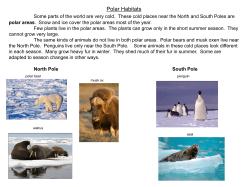 Polar Habitats - Jessamine County Schools