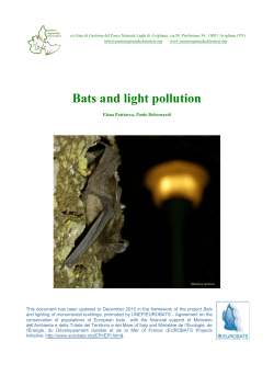 Bats and light pollution - Centro Regionale Chirotteri