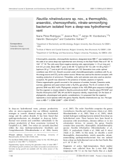 Nautilia nitratireducens sp. nov., a thermophilic, anaerobic