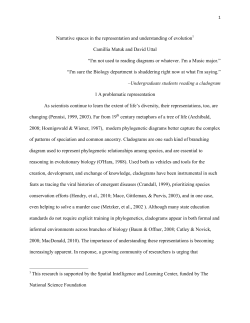 Narrative spaces in the representation and understanding of