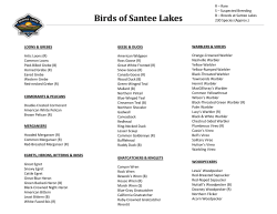 Bird List - Santee Lakes