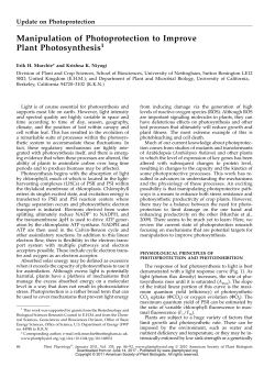 Manipulation of Photoprotection to Improve Plant