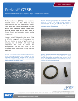 Perlast&reg; G75B - Empowering Valves