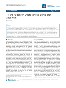 11 cm Haughton D left cervical aortic arch aneurysm | SpringerLink