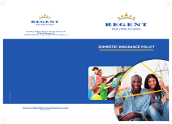 domestic insurance policy