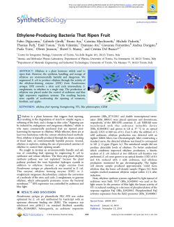 Ethylene-Producing Bacteria That Ripen Fruit
