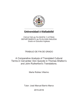 A Comparative Analysis of Translated Cultural Terms in