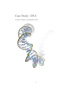 Case Study: DNA
