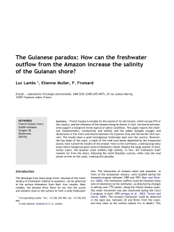 The Guianese paradox: How can the freshwater outflow from the