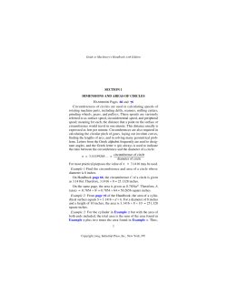 1 - Sport Pilot Information Page