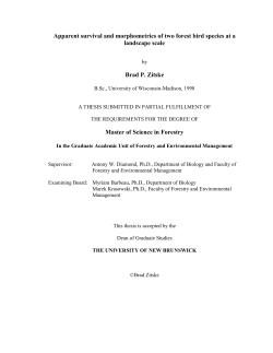 Apparent survival and morphometrics of two forest bird