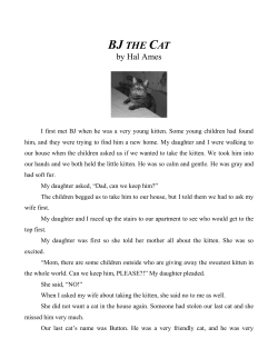 BJ THE CAT