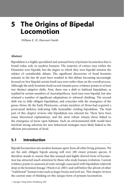 5 The Origins of Bipedal Locomotion - Binghamton