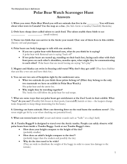 Polar Bear Watch Scavenger Hunt
