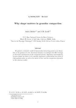 A/161045/LET - Revised Why shape matters in - IPhT