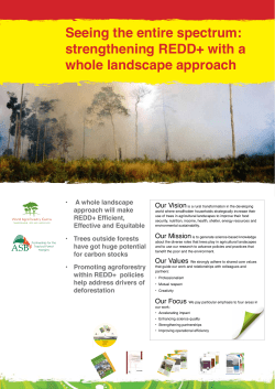 Seeing the entire spectrum: strengthening REDD+ with a