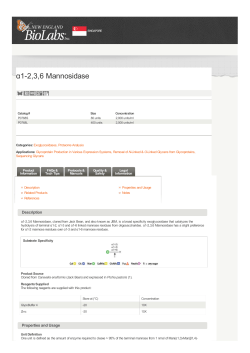 a1-2,3,6 Mannosidase