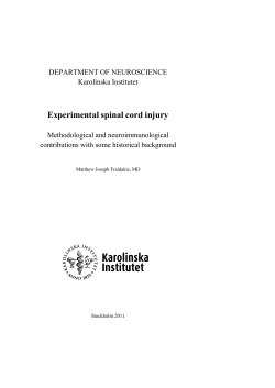 Experimental spinal cord injury - KI Open Archive