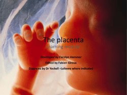 The Placenta - The Ottawa Hospital