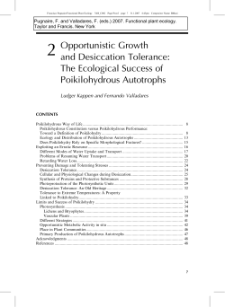 as a PDF