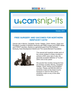 free surgery and vaccines for northern kentucky cats!