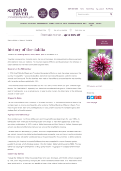 History of the dahlia
