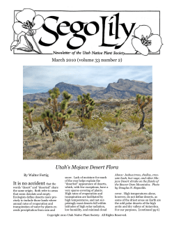 Utah`s Mojave Desert Flora - Utah Native Plant Society