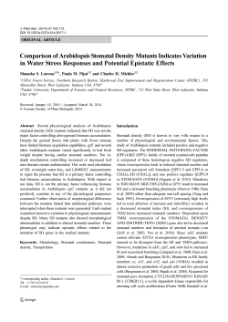 Comparison of Arabidopsis Stomatal Density Mutants