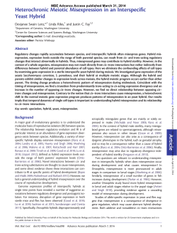 Article Heterochronic Meiotic Misexpression in an Interspecific Yeast