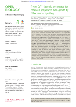 T-type Ca channels are required for enhanced sympathetic axon