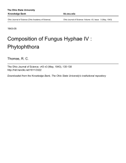 Composition of Fungus Hyphae IV : Phytophthora