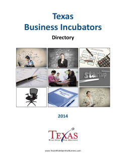 Texas Business Incubators - Plano Economic Development