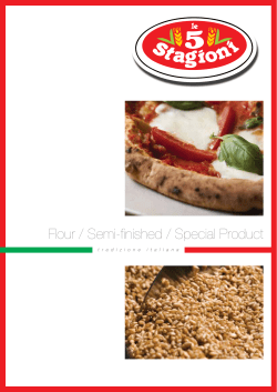 Flour / Semi-finished / Special Product