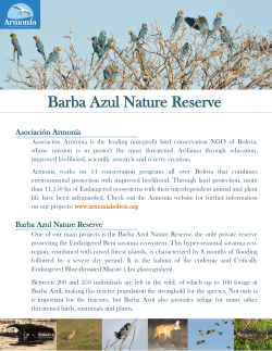 Barba Azul Nature Reserve - armonia