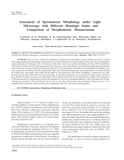 Assessment of Spermatozoa Morphology under Light Microscopy