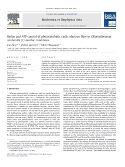 Redox and ATP control of photosynthetic cyclic electron flow in