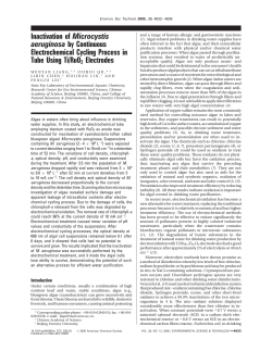 Inactivation of Microcystis aeruginosa by Continuous