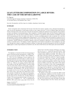 leaf litter decomposition in large rivers: the case of the
