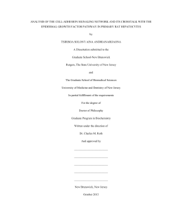 PDF-1 - RUcore