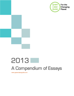 A Compendium of Essays