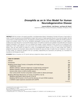 Drosophila as an In Vivo Model for Human Neurodegenerative