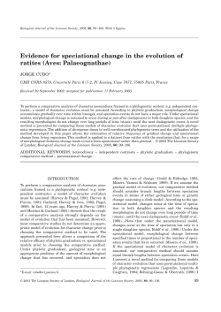 Evidence for speciational change in the evolution