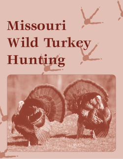 Missouri Wild Turkey Hunting