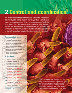 Control and coordination
