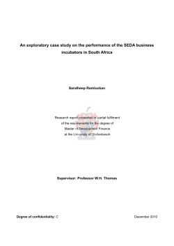 An exploratory case study on the performance of the SEDA business