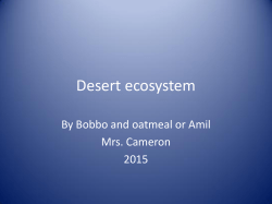 Desert ecosystem