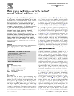 Does protein synthesis occur in the nucleus?