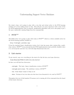 SVM Lab