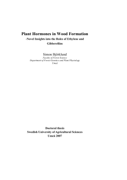 Plant Hormones in Wood Formation