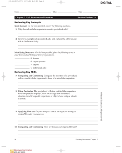 7-4 Section Review